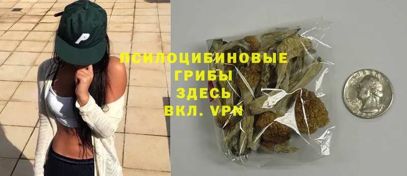 мега маркетплейс  Бакал  Галлюциногенные грибы Magic Shrooms  купить наркоту 